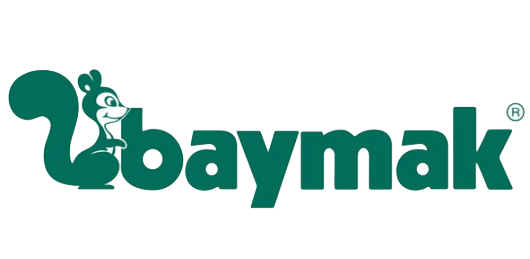 Ankara baymak kombi servisi